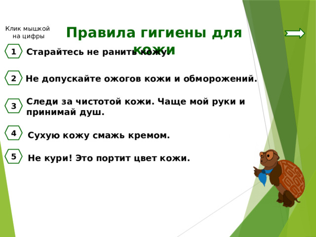 Правила гигиены для кожи Клик мышкой на цифры 1 Старайтесь не ранить кожу. 2 Не допускайте ожогов кожи и обморожений. Следи за чистотой кожи. Чаще мой руки и принимай душ. 3 4 Сухую кожу смажь кремом. 5 Не кури! Это портит цвет кожи. 