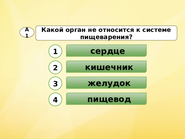 Какой орган не относится к системе пищеварения? А1  сердце 1  кишечник 2  желудок 3  пищевод 4 