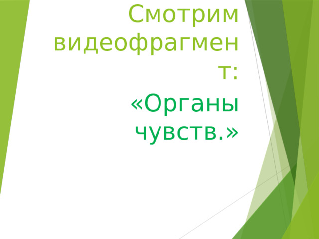 Смотрим видеофрагмент: «Органы чувств.» 