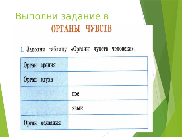 Выполни задание в тетради: 