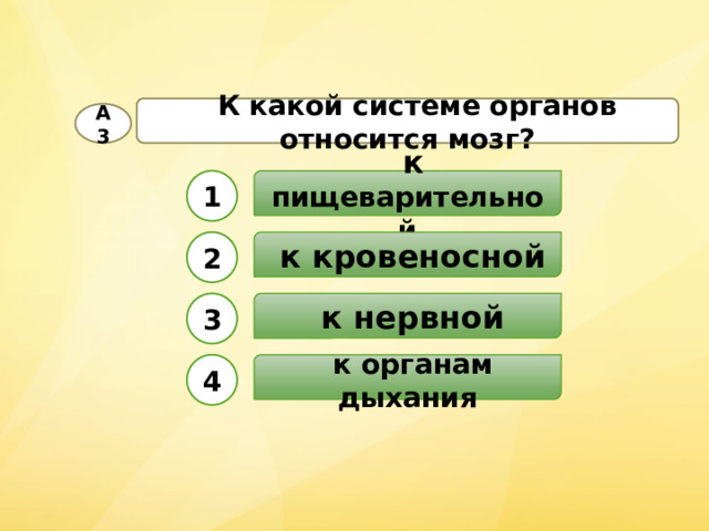  К какой системе органов относится мозг? А3  к пищеварительной 1  к кровеносной 2  к нервной 3  к органам дыхания 4 