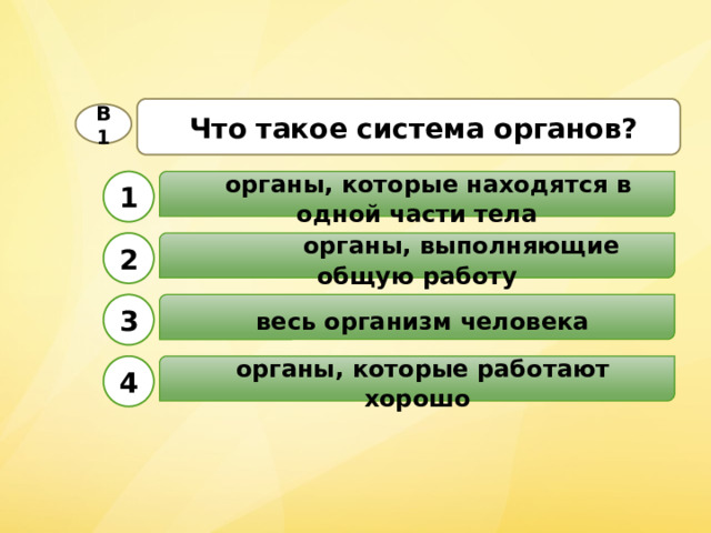  Что такое система органов? В1  органы, которые находятся в одной части тела 1  органы, выполняющие общую работу 2  весь организм человека 3  органы, которые работают хорошо 4 