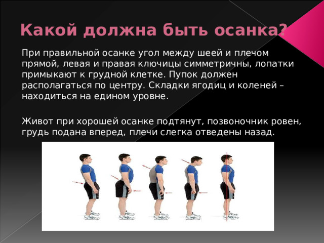 Какой должна быть осанка? При правильной осанке угол между шеей и плечом прямой, левая и правая ключицы симметричны, лопатки примыкают к грудной клетке. Пупок должен располагаться по центру. Складки ягодиц и коленей – находиться на едином уровне. Живот при хорошей осанке подтянут, позвоночник ровен, грудь подана вперед, плечи слегка отведены назад.   