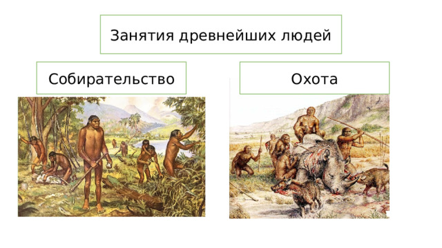 Занятия древнейших людей Собирательство Охота 