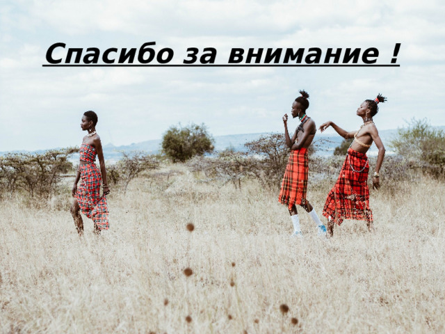 Спасибо за внимание ! 