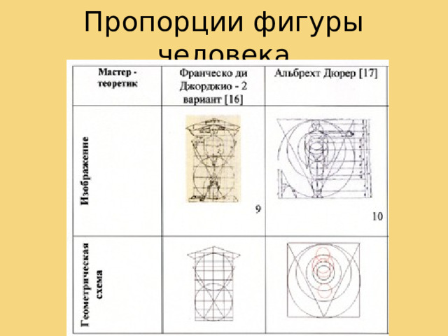 Пропорции фигуры человека 