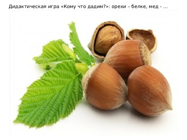 Дидактическая игра «Кому что дадим?»: орехи – белке, мед - … 
