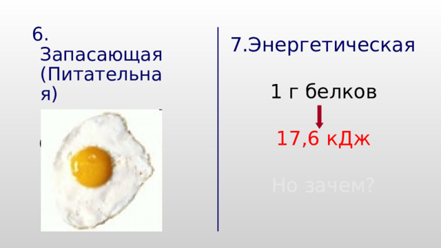 6. Запасающая (Питательная) Овальбумин 7.Энергетическая 7.Энергетическая  1 г белков 1 г белков  17,6 кДж 17,6 кДж  Но зачем? Но зачем? 