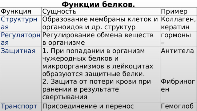 Функции белков. Функция Сущность Структурная Пример Образование мембраны клеток и органоидов и др. структур Регуляторная Коллаген, кератин Регулирование обмена веществ в организме Защитная гормоны – 1. При попадании в организм чужеродных белков и микроорганизмов в лейкоцитах образуются защитные белки. 2. Защита от потери крови при ранении в результате свертывания Транспортная Антитела       Фибриноген Присоединение и перенос химических элементов по организму Гемоглобин 