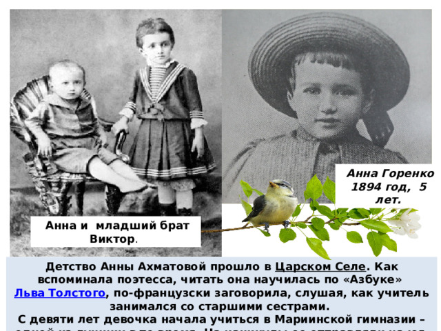  Анна Горенко 1894 год, 5 лет.  Анна и младший брат Виктор . Детство Анны Ахматовой прошло в  Царском Селе . Как вспоминала поэтесса, читать она научилась по «Азбуке»  Льва Толстого , по-французски заговорила, слушая, как учитель занимался со старшими сестрами. С девяти лет девочка начала учиться в Мариинской гимназии – одной из лучших в то время. На каникулы ее отправляли на юг, в окрестности Севастополя. 