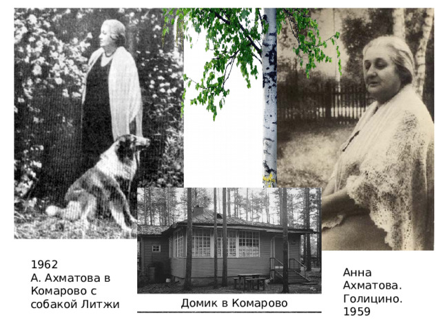 В 1951 году поэтессу восстановили в Союзе писателей. Никогда не имевшая собственного жилья, в 1955 году Ахматова получила от Литературного фонда дачный домик в поселке Комарово.Последние десять лет жизни Ахматовой совершено не походили на предыдущие годы. Ее сын был на свободе, она наконец получила возможность печататься. Она продолжала писать – и писала много, словно торопясь высказать все, что ей не давали сказать раньше. Теперь мешали только болезни: были серьезные проблемы с сердцем, из-за полноты ей было тяжело ходить. До последних лет Ахматова была царственна и величава, писала любовные стихи и предупреждала приходящих к ней молодых людей: 