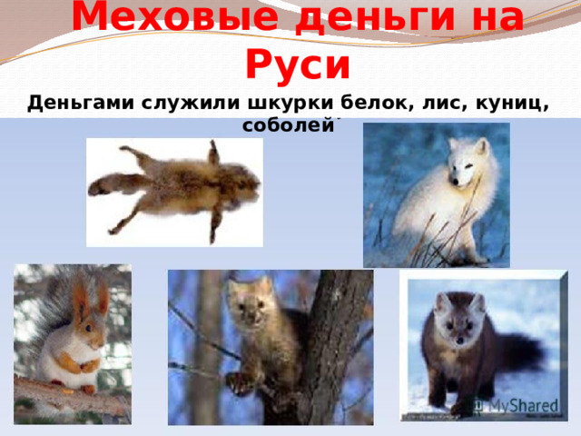 Меховые деньги на Руси Деньгами служили шкурки белок, лис, куниц, соболей 