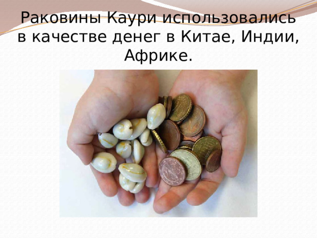 Раковины Каури использовались в качестве денег в Китае, Индии, Африке. 