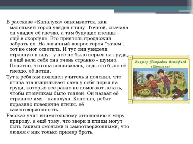 В рассказе «Капалуха» описывается, как маленький герой увидел птицу. Точней, сначала он увидел её гнездо, а там будущие птенцы – ещё в скорлупе. Его приятель предложил забрать их. На логичный вопрос героя 