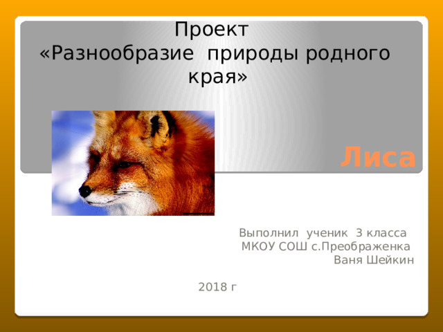 Проект «Разнообразие природы родного края» Выполнил ученик 3 класса МКОУ СОШ с.Преображенка Ваня Шейкин 2018 г Лиса 