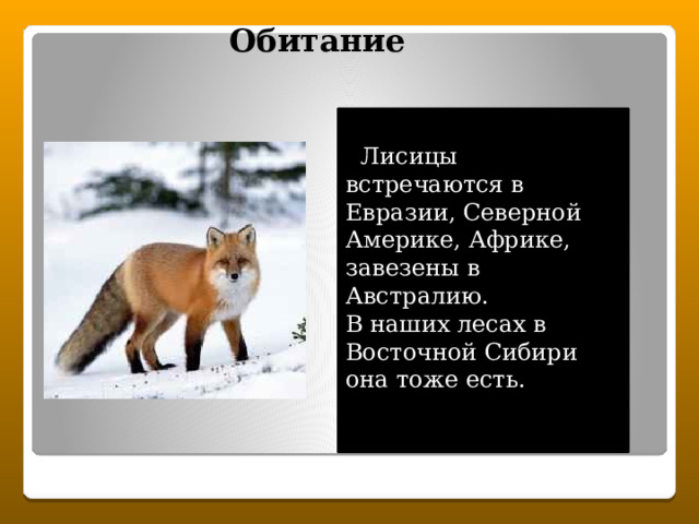 Обитание  Лисицы встречаются в Евразии, Северной Америке, Африке, завезены в Австралию. В наших лесах в Восточной Сибири она тоже есть. 