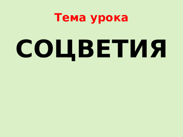Тема урока СОЦВЕТИЯ 