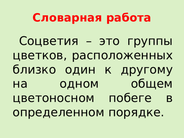Словарная работа Соцветия – это группы цветков, расположенных близко один к другому на одном общем цветоносном побеге в определенном порядке.  