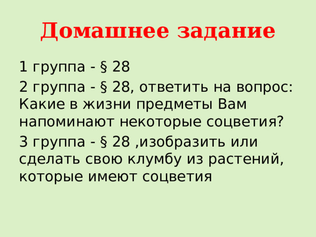 Домашнее задание 1 группа - § 28 2 группа - § 28, ответить на вопрос: Какие в жизни предметы Вам напоминают некоторые соцветия? 3 группа - § 28 ,изобразить или сделать свою клумбу из растений, которые имеют соцветия 