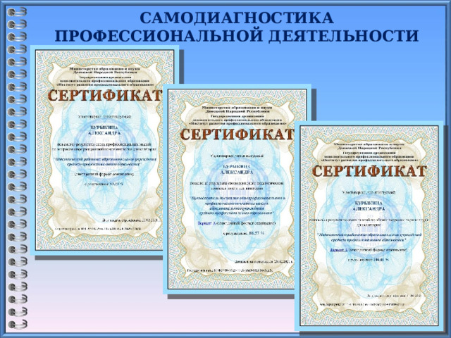 САМОДИАГНОСТИКА ПРОФЕССИОНАЛЬНОЙ ДЕЯТЕЛЬНОСТИ    