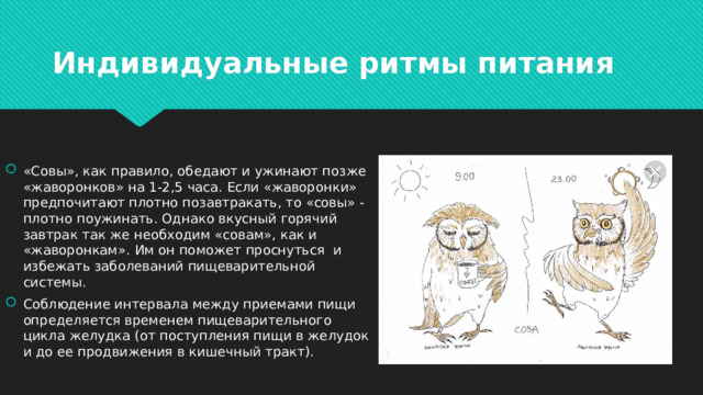 Индивидуальные ритмы питания «Совы», как правило, обедают и ужинают позже «жаворонков» на 1-2,5 часа. Если «жаворонки» предпочитают плотно позавтракать, то «совы» - плотно поужинать. Однако вкусный горячий завтрак так же необходим «совам», как и «жаворонкам». Им он поможет проснуться  и избежать заболеваний пищеварительной системы. Соблюдение интервала между приемами пищи определяется временем пищеварительного цикла желудка (от поступления пищи в желудок и до ее продвижения в кишечный тракт). 