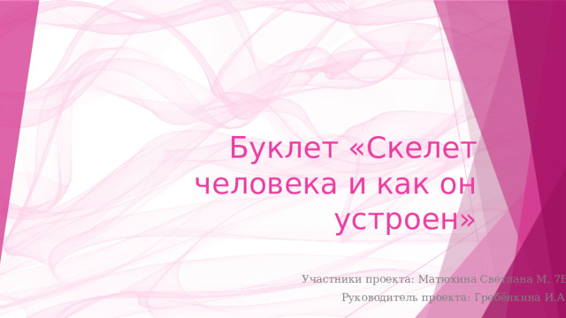 Буклет «Скелет человека и как он устроен» Участники проекта: Матюхина Светлана М. 7Б Руководитель проекта: Гребёнкина И.А. 