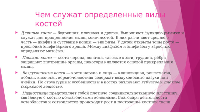 Чем служат определенные виды костей Длинные кости  — бедренная, плечевая и другие. Выполняют функцию рычагов и служат для прикрепления мышц конечностей. В них различают среднюю часть — диафиз и суставные концы — эпифизы. У детей открыты зоны роста — прослойка эпифизарного хряща. Между диафизом и эпифизом у взрослых определяют метафиз.   Плоские кости  — кости черепа, лопатка, тазовые кости, грудина, рёбра защищают внутренние органы, некоторые являются основой прикрепления мышц.   Воздухоносные кости  — кости черепа и лица — клиновидная, решетчатая, лобная, височная, верхнечелюстная содержат воздухоносные пазухи или ячейки. По структурным особенностям в костях различают  губчатое  и  плотное (корковое) вещество .   Надкостница  представляет собой плотную соединительнотканную пластинку, связанную с костью коллагеновыми волокнами. Благодаря деятельности остеобластов и остеокластов происходит рост и построение костной ткани 