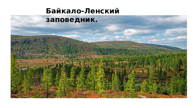 Байкало-Ленский заповедник. 