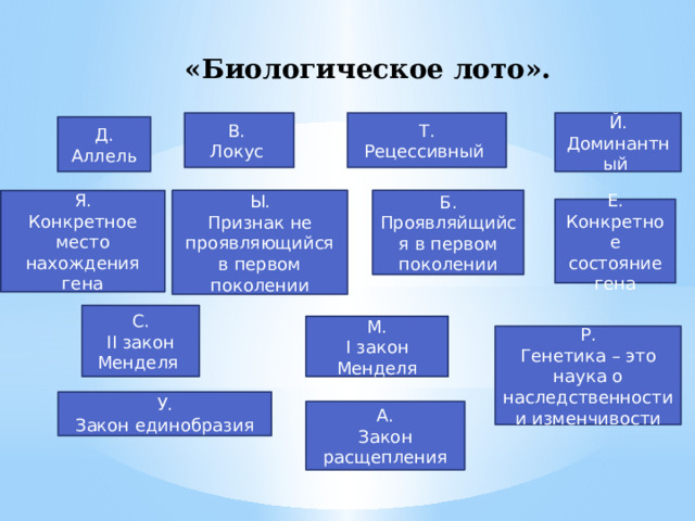 «Биологическое лото». В. Т. Рецессивный Локус Й. Доминантный Д. Аллель Б. Проявляйщийся в первом поколении Я. Ы. Признак не проявляющийся в первом поколении Конкретное место нахождения гена Е. Конкретное состояние гена С. II закон Менделя М. I закон Менделя Р. Генетика – это наука о наследственности и изменчивости У. Закон единобразия А. Закон расщепления 