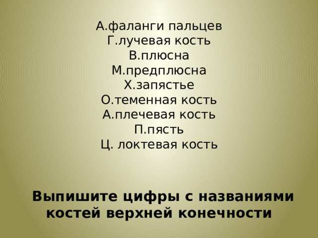 А.фаланги пальцев Г.лучевая кость В.плюсна М.предплюсна Х.запястье О.теменная кость А.плечевая кость П.пясть Ц. локтевая кость         Выпишите цифры с названиями костей верхней конечности 