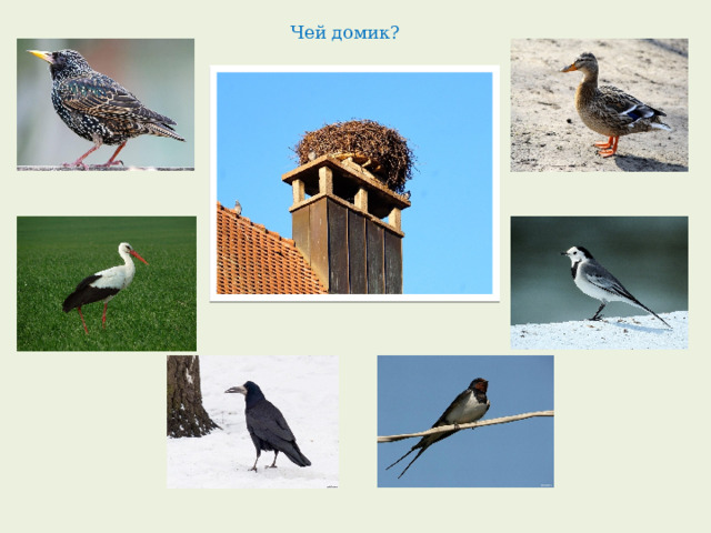 Чей домик? 