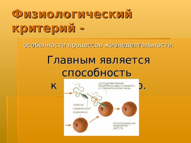 Физиологический критерий -  особенности процессов жизнедеятельности. Главным является способность к размножению. 