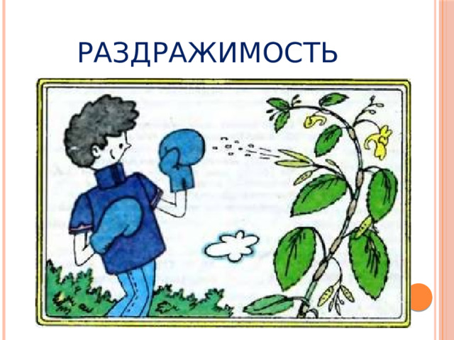 Раздражимость 