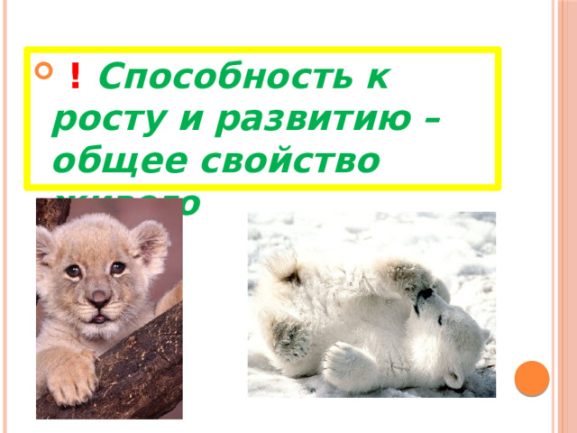  !  Способность к росту и развитию – общее свойство живого 