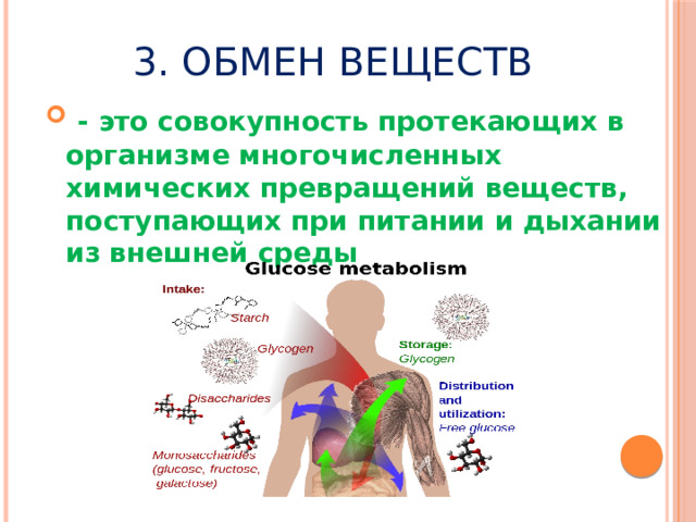 3. Обмен веществ  - это совокупность протекающих в организме многочисленных химических превращений веществ, поступающих при питании и дыхании из внешней среды 