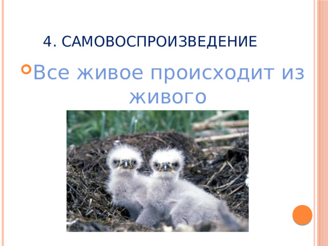 4. Самовоспроизведение Все живое происходит из живого 