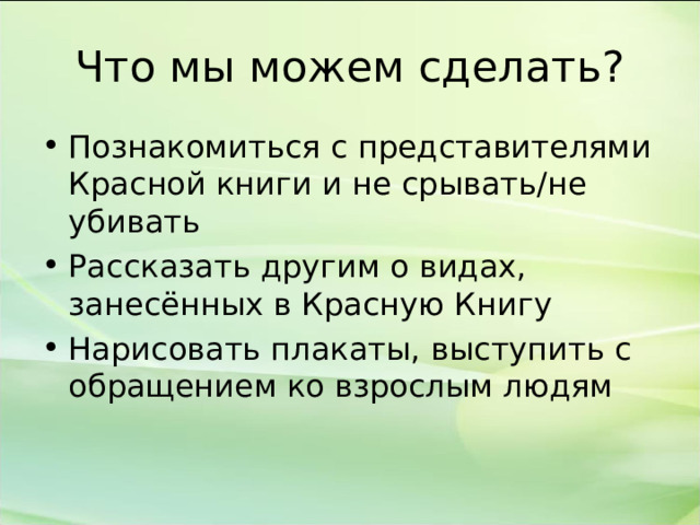 Что мы можем сделать? Познакомиться с представителями Красной книги и не срывать/не убивать Рассказать другим о видах, занесённых в Красную Книгу Нарисовать плакаты, выступить с обращением ко взрослым людям  
