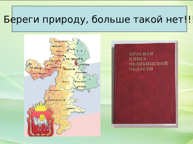 Береги природу, больше такой нет!!!  