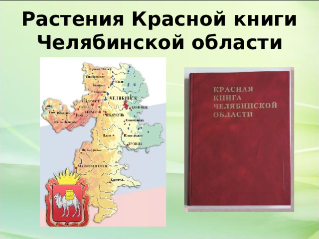 Растения Красной книги Челябинской области  