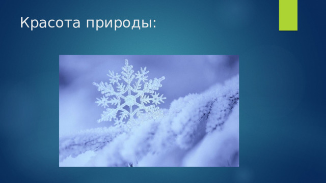 Красота природы: 