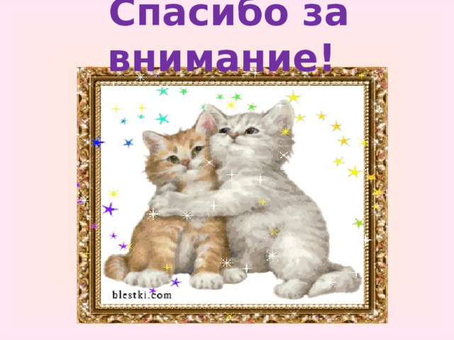  Спасибо за внимание! 