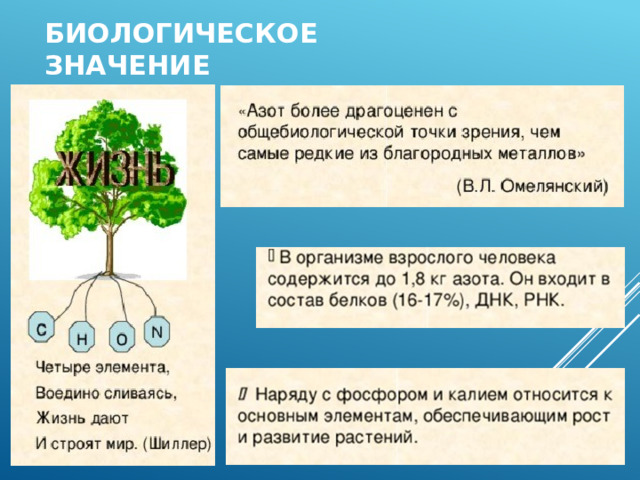 Биологическое значение 