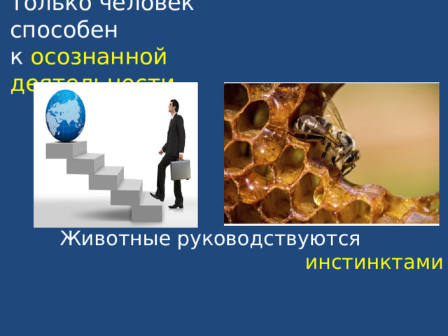 Только человек способен  к осознанной деятельности инстинктами 
