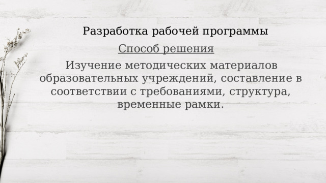 Разработка рабочей программы   Способ решения  Изучение методических материалов образовательных учреждений, составление в соответствии с требованиями, структура, временные рамки. 