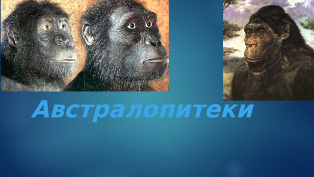 Австралопитеки 