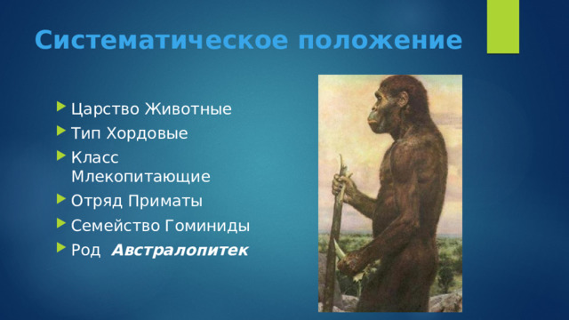 Систематическое положение Царство Животные Тип Хордовые Класс Млекопитающие Отряд Приматы Семейство Гоминиды Род Австралопитек 
