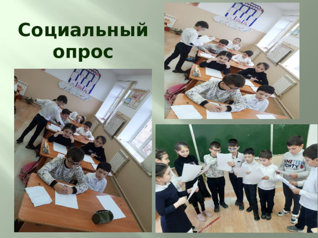 Социальный опрос 