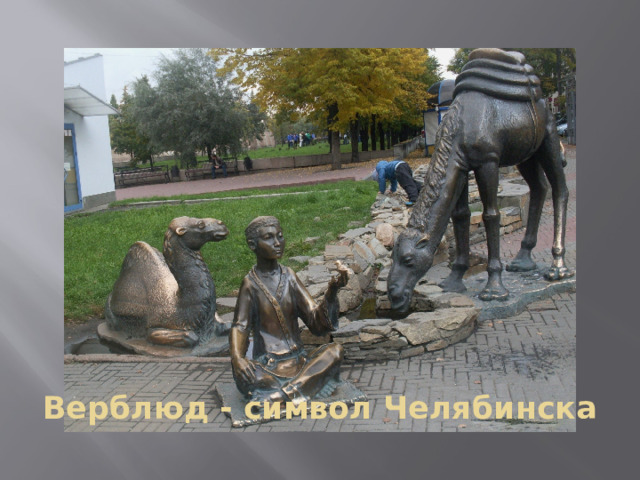 Верблюд - символ Челябинска 