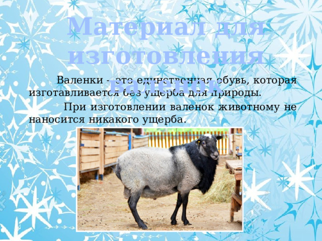 Материал для изготовления валенок  Валенки – это единственная обувь, которая изготавливается без ущерба для природы.  При изготовлении валенок животному не наносится никакого ущерба . 