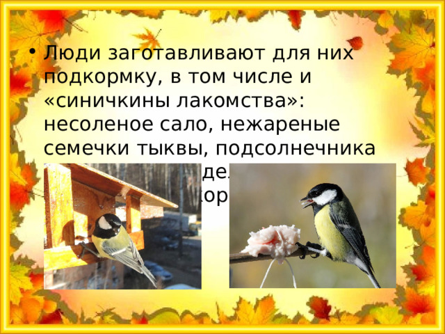 Люди заготавливают для них подкормку, в том числе и «синичкины лакомства»: несоленое сало, нежареные семечки тыквы, подсолнечника или арахиса, – делают и развешивают кормушки. 